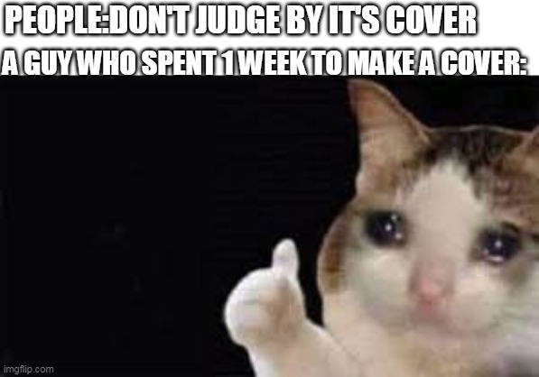 sad | PEOPLE:DON'T JUDGE BY IT'S COVER; A GUY WHO SPENT 1 WEEK TO MAKE A COVER: | image tagged in crying cat | made w/ Imgflip meme maker