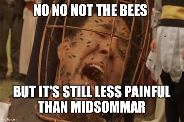 No not midsommar | NO NO NOT THE BEES; BUT IT'S STILL LESS PAINFUL
 THAN MIDSOMMAR | image tagged in not the bees | made w/ Imgflip meme maker