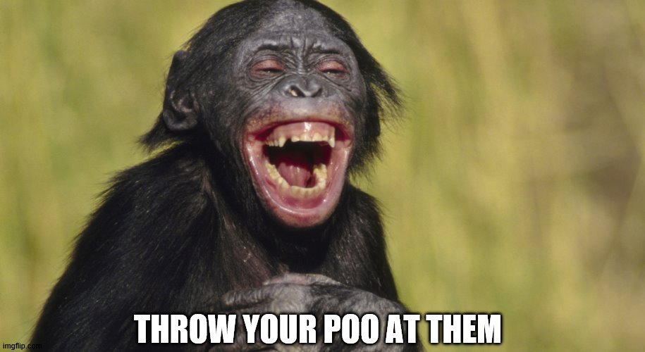 laughing monkey,memes | THROW YOUR POO AT THEM | image tagged in laughing monkey memes | made w/ Imgflip meme maker