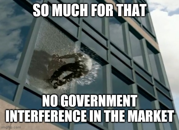 Thrown out of the window | SO MUCH FOR THAT NO GOVERNMENT INTERFERENCE IN THE MARKET | image tagged in thrown out of the window | made w/ Imgflip meme maker