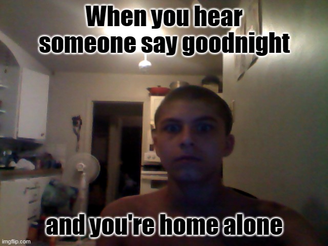 This is me irl (the picture) | When you hear someone say goodnight; and you're home alone | image tagged in wrbr1321_wolfz | made w/ Imgflip meme maker