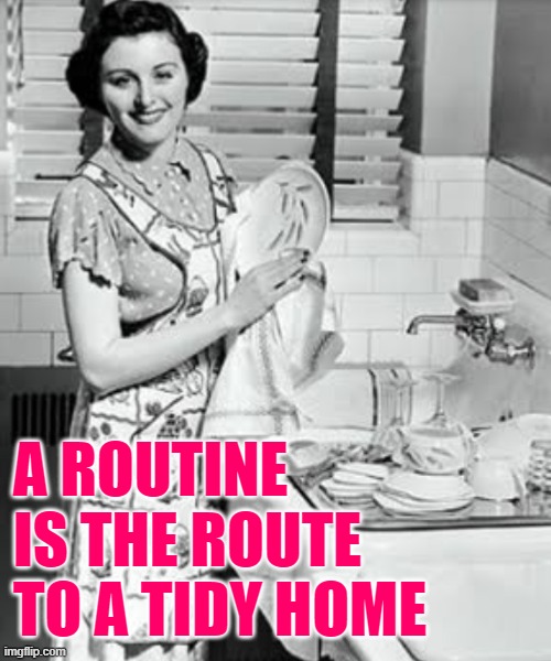 Tidy Home Housewife | A ROUTINE IS THE ROUTE TO A TIDY HOME | image tagged in washing dishes,housewife,vintage,housework,cleaning,memes | made w/ Imgflip meme maker
