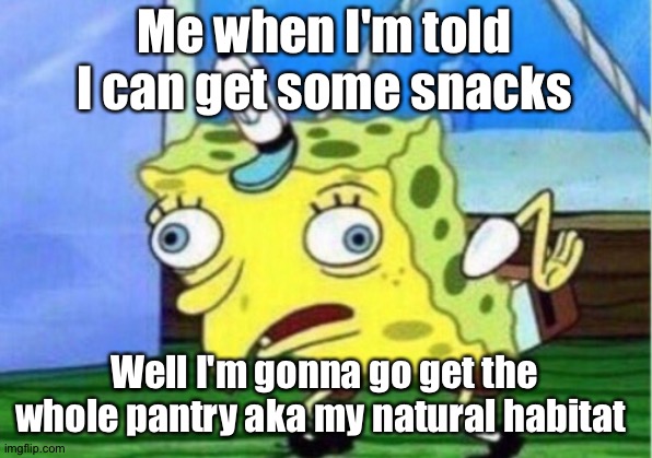 Mocking Spongebob Meme | Me when I'm told I can get some snacks; Well I'm gonna go get the whole pantry aka my natural habitat | image tagged in memes,mocking spongebob | made w/ Imgflip meme maker