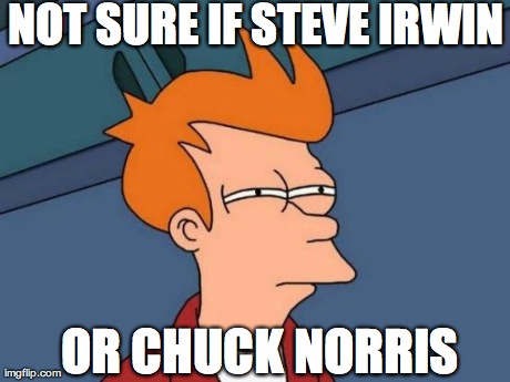 Futurama Fry Meme | NOT SURE IF STEVE IRWIN OR CHUCK NORRIS | image tagged in memes,futurama fry | made w/ Imgflip meme maker