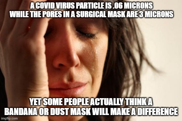 First World Problems Meme | A COVID VIRUS PARTICLE IS .06 MICRONS WHILE THE PORES IN A SURGICAL MASK ARE 3 MICRONS; YET SOME PEOPLE ACTUALLY THINK A BANDANA OR DUST MASK WILL MAKE A DIFFERENCE | image tagged in memes,first world problems | made w/ Imgflip meme maker
