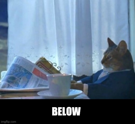 I Should Buy A Boat Cat Meme | BELOW | image tagged in memes,i should buy a boat cat | made w/ Imgflip meme maker