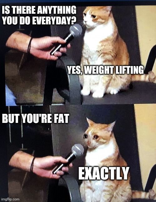 I am fat | image tagged in cat interview crying,crying cat interview | made w/ Imgflip meme maker