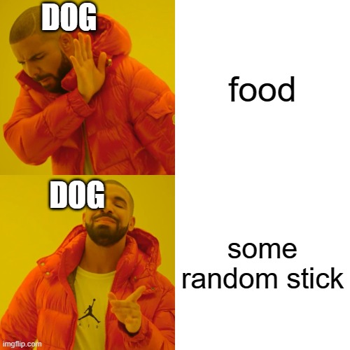 Dogs | DOG; food; DOG; some random stick | image tagged in memes,drake hotline bling | made w/ Imgflip meme maker