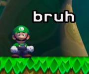 Luigi bruh Blank Meme Template