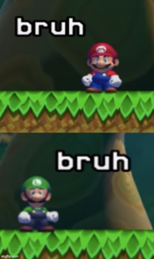 2 New templates: Mario bruh & Luigi bruh. These are to be used as reaction images. | image tagged in mario bruh,luigi bruh | made w/ Imgflip meme maker