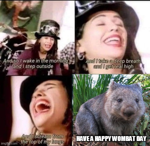 HAVE A HAPPY WOMBAT DAY | image tagged in wombat day again | made w/ Imgflip meme maker