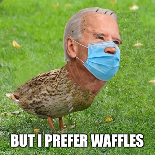 Joe BidenDuck | BUT I PREFER WAFFLES | image tagged in joe bidenduck | made w/ Imgflip meme maker