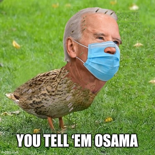 Joe BidenDuck | YOU TELL ‘EM OSAMA | image tagged in joe bidenduck | made w/ Imgflip meme maker