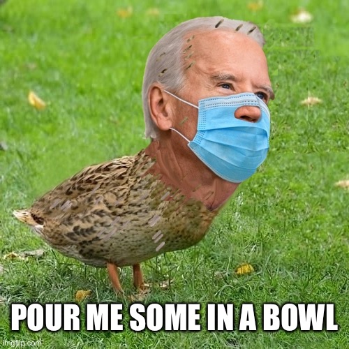 Joe BidenDuck | POUR ME SOME IN A BOWL | image tagged in joe bidenduck | made w/ Imgflip meme maker