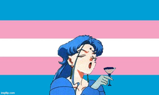 just a little picture I made | image tagged in transgender flag,fisheye,fish,water,transgender,trans | made w/ Imgflip meme maker