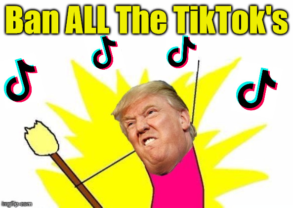 Trump X All The Y | Ban ALL The TikTok's | image tagged in memes,one does not simply,donald trump,first world problems,x all the y,tiktok | made w/ Imgflip meme maker