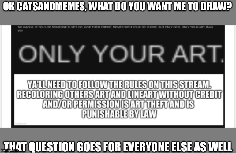 OK CATSANDMEMES, WHAT DO YOU WANT ME TO DRAW? THAT QUESTION GOES FOR EVERYONE ELSE AS WELL | made w/ Imgflip meme maker
