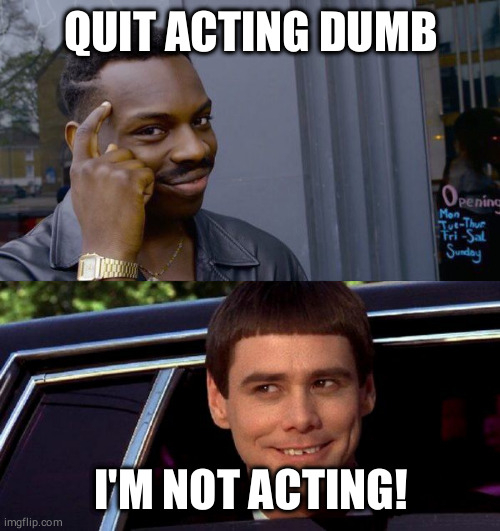 QUIT ACTING DUMB I'M NOT ACTING! | image tagged in dumb and dumber,memes,roll safe think about it | made w/ Imgflip meme maker