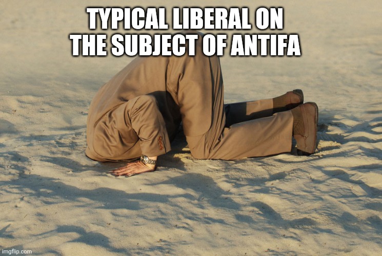 What a Typical Antifa Denying Liberal Looks Like | TYPICAL LIBERAL ON THE SUBJECT OF ANTIFA | image tagged in denial,stupid liberals,antifa,news,politics,lol | made w/ Imgflip meme maker