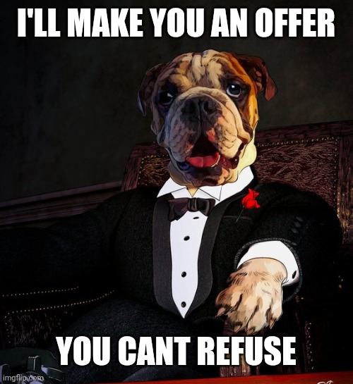 I'LL MAKE YOU AN OFFER YOU CANT REFUSE | made w/ Imgflip meme maker