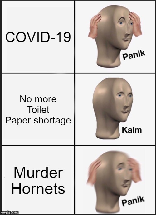 No end | COVID-19; No more Toilet Paper shortage; Murder Hornets | image tagged in memes,panik kalm panik | made w/ Imgflip meme maker