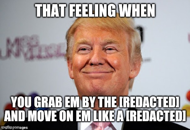 "I grab em by the [redacted] and move on em like a [redacted]." -Donald Trump, US president | THAT FEELING WHEN; YOU GRAB EM BY THE [REDACTED] AND MOVE ON EM LIKE A [REDACTED] | image tagged in donald trump approves | made w/ Imgflip meme maker