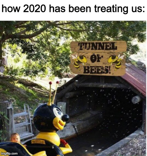 The bees will eviscerate the small child alive | how 2020 has been treating us: | image tagged in 2020,bees,help me i've been kept in a torture chamber in bosnia help | made w/ Imgflip meme maker