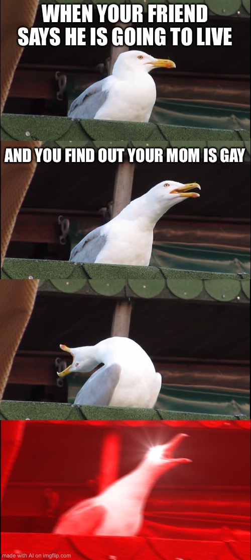 Hmmmmm. Um- I’m speechless | WHEN YOUR FRIEND SAYS HE IS GOING TO LIVE; AND YOU FIND OUT YOUR MOM IS GAY | image tagged in memes,inhaling seagull | made w/ Imgflip meme maker