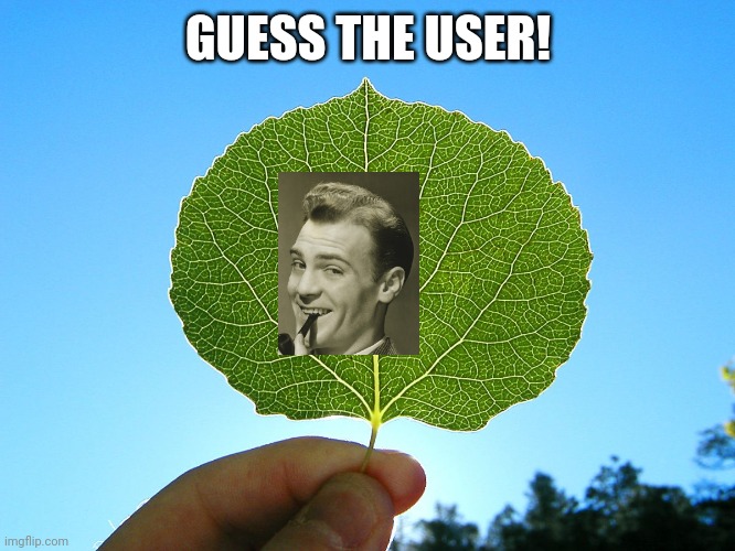 Guess the user | GUESS THE USER! | image tagged in guess the user | made w/ Imgflip meme maker