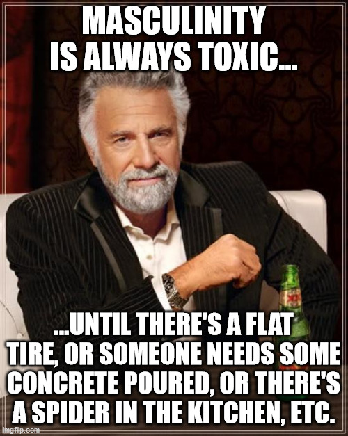 The Most Interesting Man In The World Meme | MASCULINITY IS ALWAYS TOXIC... ...UNTIL THERE'S A FLAT TIRE, OR SOMEONE NEEDS SOME CONCRETE POURED, OR THERE'S A SPIDER IN THE KITCHEN, ETC. | image tagged in memes,the most interesting man in the world | made w/ Imgflip meme maker