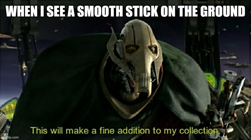 This was me when I was 5 and it is still me now | WHEN I SEE A SMOOTH STICK ON THE GROUND | image tagged in this will make a fine addition to my collection | made w/ Imgflip meme maker