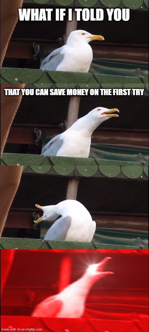 Inhaling Seagull Meme | WHAT IF I TOLD YOU; THAT YOU CAN SAVE MONEY ON THE FIRST TRY | image tagged in memes,inhaling seagull | made w/ Imgflip meme maker