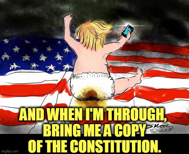The Founding Fathers are so unfair to me. Whaaaaaa! | AND WHEN I'M THROUGH, 
BRING ME A COPY OF THE CONSTITUTION. | image tagged in trump shows his respect for american democracy,trump,flag,law,constitution,loser | made w/ Imgflip meme maker