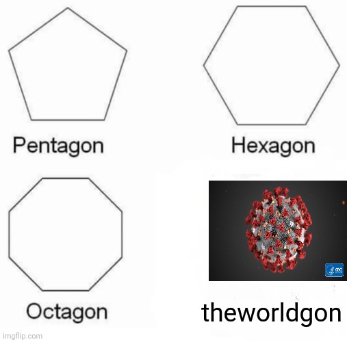 2020 in a nutshell | theworldgon | image tagged in memes,pentagon hexagon octagon,2020,end of the world meme,coronavirus,stop reading the tags | made w/ Imgflip meme maker