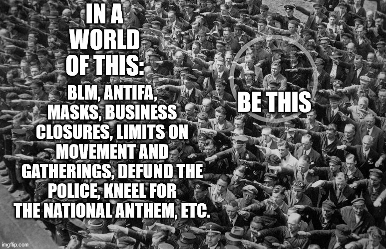 Sheep blindly follow & do what they're told without question. Don't be one. When told to do something, it's ok to ask "why?". | IN A WORLD OF THIS:; BLM, ANTIFA, MASKS, BUSINESS CLOSURES, LIMITS ON MOVEMENT AND GATHERINGS, DEFUND THE POLICE, KNEEL FOR THE NATIONAL ANTHEM, ETC. BE THIS | image tagged in socialism,nazi,comply,sheep | made w/ Imgflip meme maker