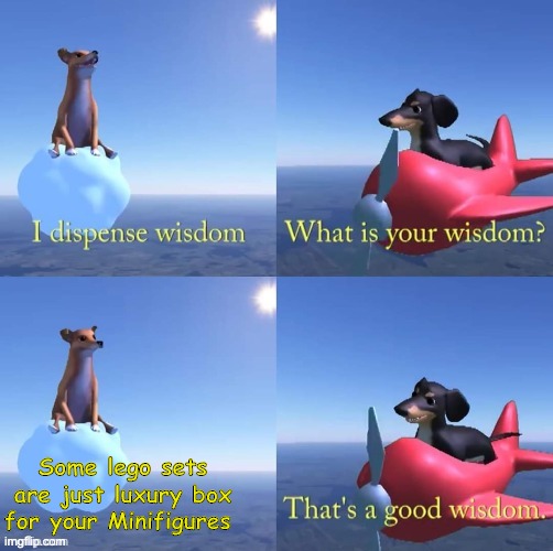 Wisdom dog | Some lego sets are just luxury box for your Minifigures | image tagged in wisdom dog,lego | made w/ Imgflip meme maker