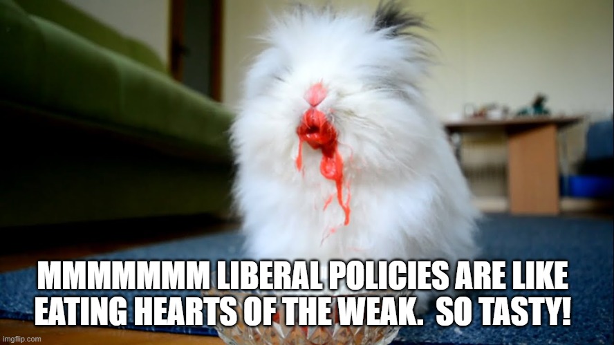 Killer bunny | MMMMMMM LIBERAL POLICIES ARE LIKE EATING HEARTS OF THE WEAK.  SO TASTY! | image tagged in killer bunny | made w/ Imgflip meme maker