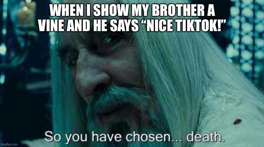 So you have chosen death | WHEN I SHOW MY BROTHER A VINE AND HE SAYS “NICE TIKTOK!” | image tagged in so you have chosen death | made w/ Imgflip meme maker
