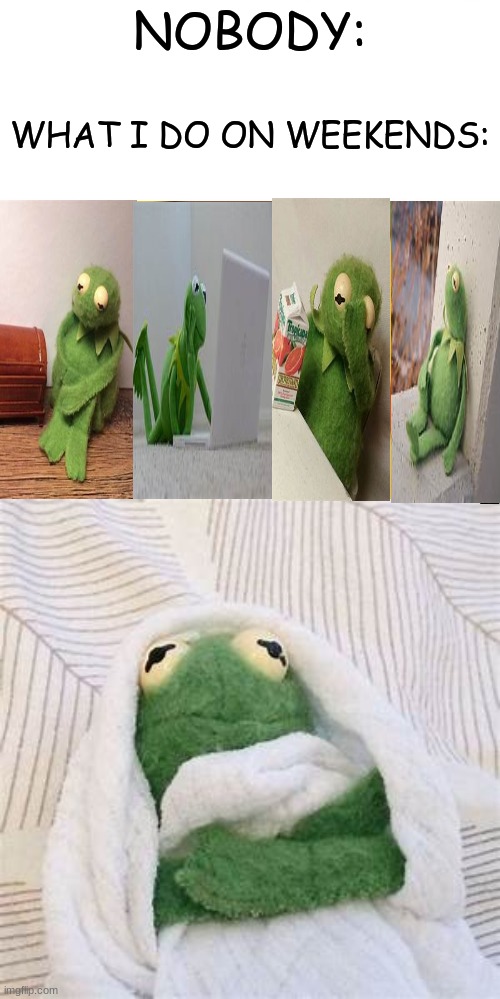 sad kermie | NOBODY:; WHAT I DO ON WEEKENDS: | image tagged in memes,kermit the frog | made w/ Imgflip meme maker