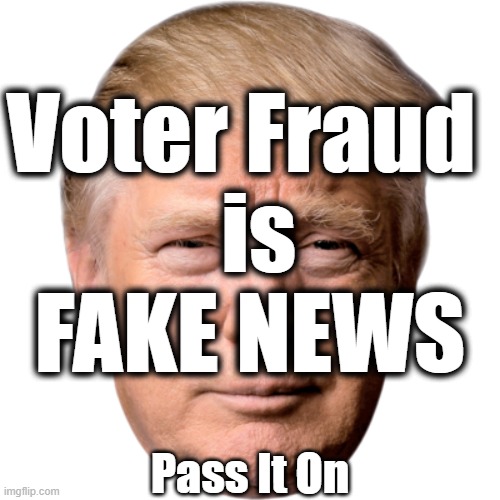 FAKE NEWS | Voter Fraud 
  is 
FAKE NEWS; Pass It On | image tagged in politics | made w/ Imgflip meme maker