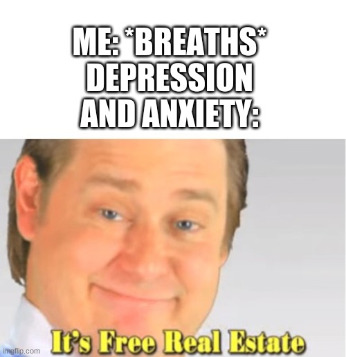 It's Free Real Estate | ME: *BREATHS*
DEPRESSION AND ANXIETY: | image tagged in it's free real estate | made w/ Imgflip meme maker
