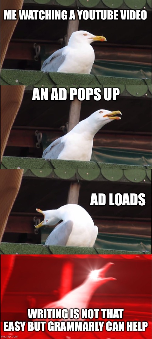 Inhaling Seagull | ME WATCHING A YOUTUBE VIDEO; AN AD POPS UP; AD LOADS; WRITING IS NOT THAT EASY BUT GRAMMARLY CAN HELP | image tagged in memes,inhaling seagull | made w/ Imgflip meme maker