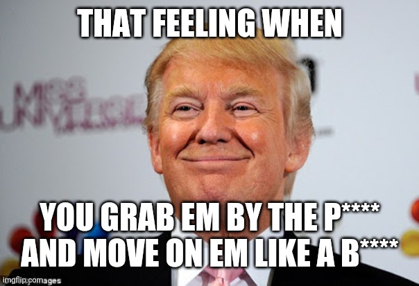 Donald trump approves | THAT FEELING WHEN; YOU GRAB EM BY THE P**** AND MOVE ON EM LIKE A B**** | image tagged in donald trump approves | made w/ Imgflip meme maker