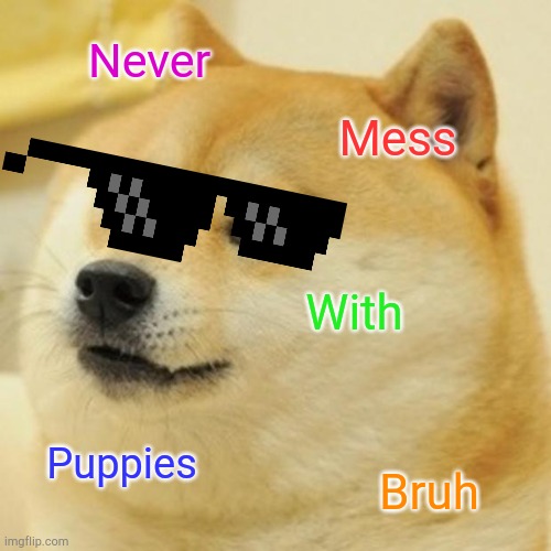 Doge Meme | Never Mess With Puppies Bruh | image tagged in memes,doge | made w/ Imgflip meme maker