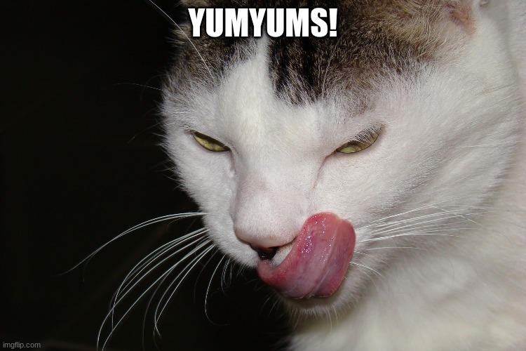 YUMMY | YUMYUMS! | image tagged in yummy | made w/ Imgflip meme maker