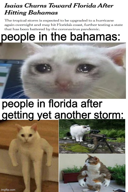 They're gonna shoot it again aren't they? | people in the bahamas:; people in florida after getting yet another storm: | image tagged in buff cat,crying cat,hurricane isaias,florida | made w/ Imgflip meme maker