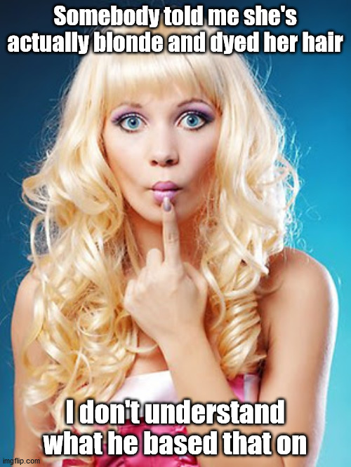 Dumb blonde | Somebody told me she's actually blonde and dyed her hair I don't understand what he based that on | image tagged in dumb blonde | made w/ Imgflip meme maker
