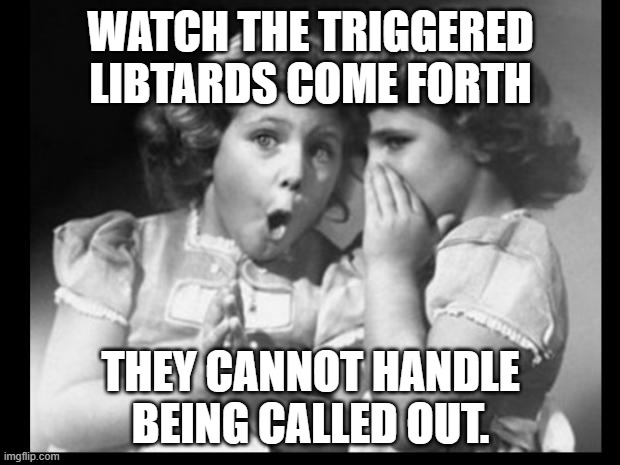 Friends sharing | WATCH THE TRIGGERED LIBTARDS COME FORTH THEY CANNOT HANDLE BEING CALLED OUT. | image tagged in friends sharing | made w/ Imgflip meme maker