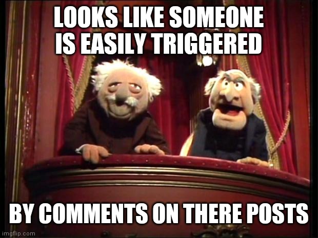 Statler and Waldorf | LOOKS LIKE SOMEONE IS EASILY TRIGGERED BY COMMENTS ON THERE POSTS | image tagged in statler and waldorf | made w/ Imgflip meme maker