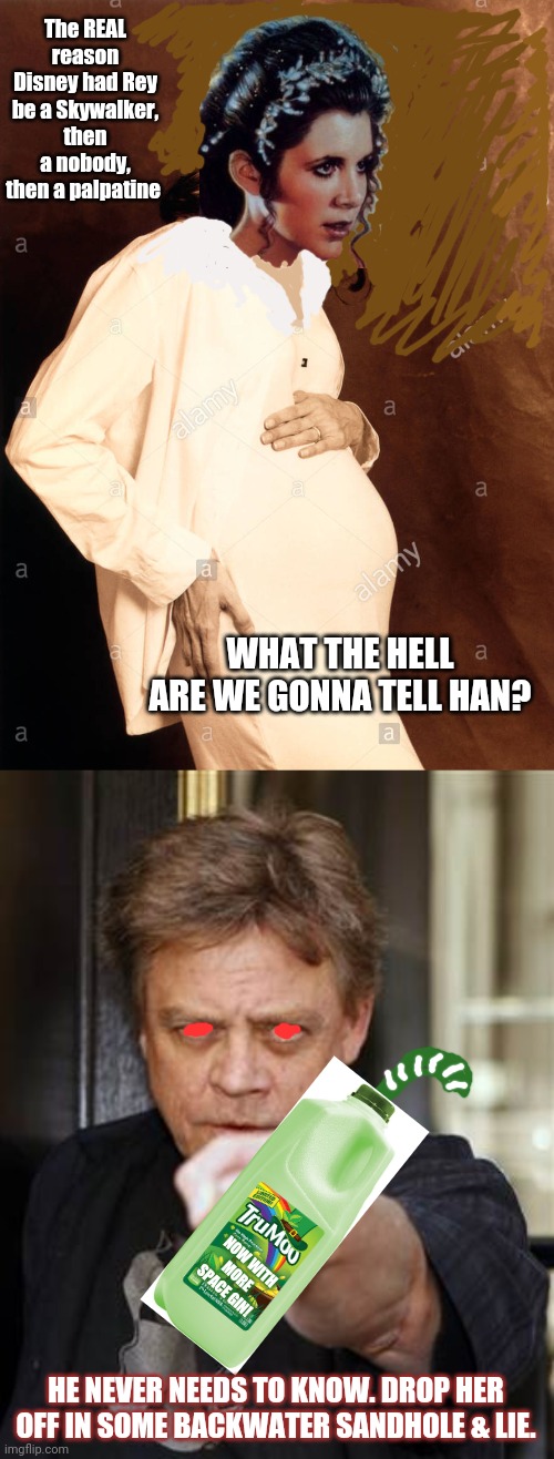 The REAL reason Disney had Rey be a Skywalker, then a nobody, then a palpatine; WHAT THE HELL ARE WE GONNA TELL HAN? NOW WITH MORE SPACE GIN! HE NEVER NEEDS TO KNOW. DROP HER OFF IN SOME BACKWATER SANDHOLE & LIE. | image tagged in old luke skywalker,princess leia,pregnancy | made w/ Imgflip meme maker